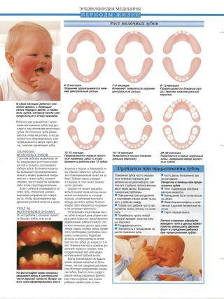 Когда начинают резаться зубки: как понять и чем помочь младенцу