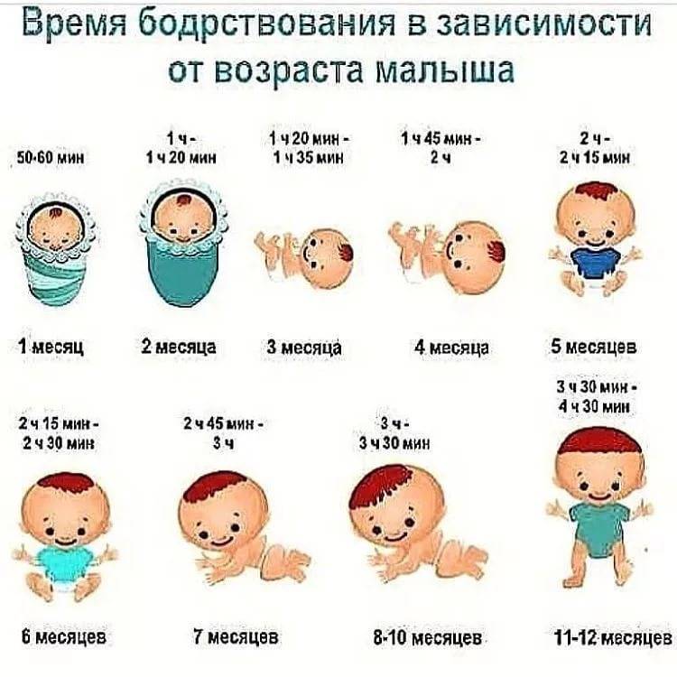 Сколько должен спать ребенок в 5 месяцев днем и ночью: таблица норм