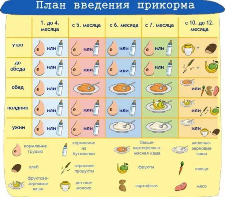 Масло в детском питании - энциклопедия детское питание