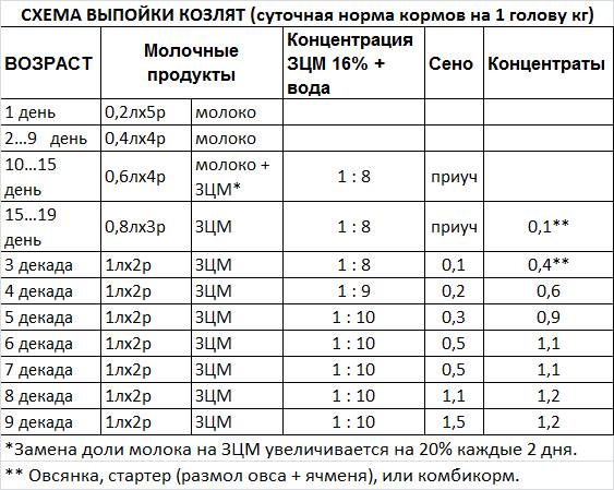 Можно ли безмолочную кашу разводить молоком козьим молоком