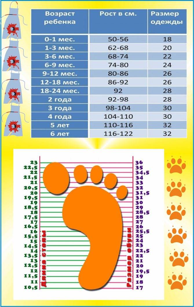 Таблица размеров одежды, обуви и чепчиков для новорожденных детей