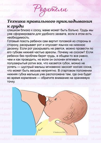 Как прикладывать ребенка к груди: техника успешного грудного вскармливания. как приучить ребёнка к груди после пустышки или смеси?