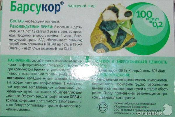 Язвенная болезнь желудка: причины заболевания, методы лечения и профилактики