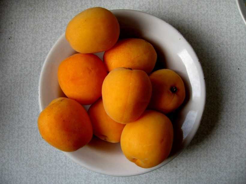 Можно ли абрикос детям? польза абрикоса для грудничка