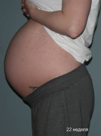 Что происходит с мамочкой и плодом на 24 неделе беременности?