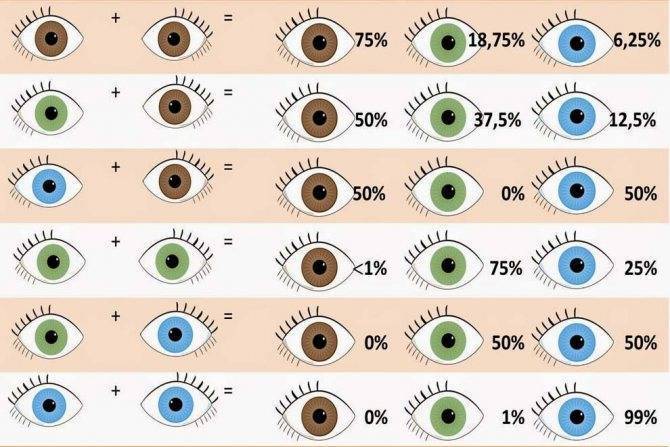 Как узнать цвет глаз будущего ребенка