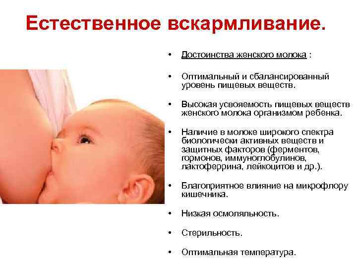 Грудное вскармливание: кормить новорожденного по режиму или по требованию