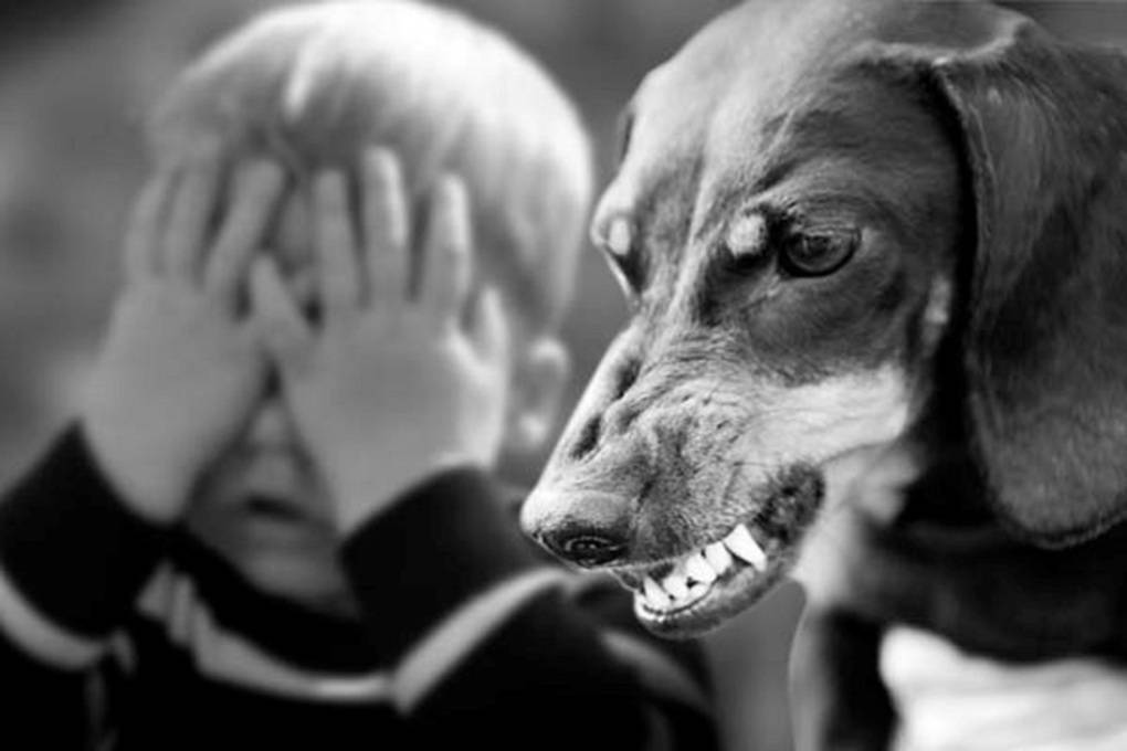 Что делать, если ваш ребенок всего боится