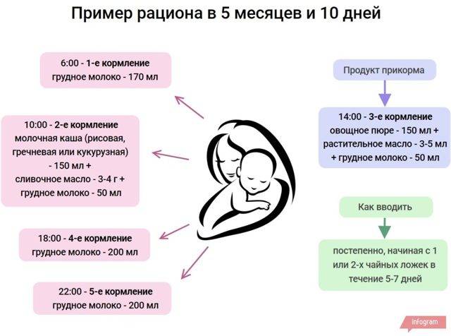 Схема введения прикорма у детей до года | москва