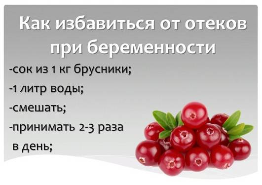 Брусника при беременности: в чем ее польза? | образ жизни для хорошего здоровья