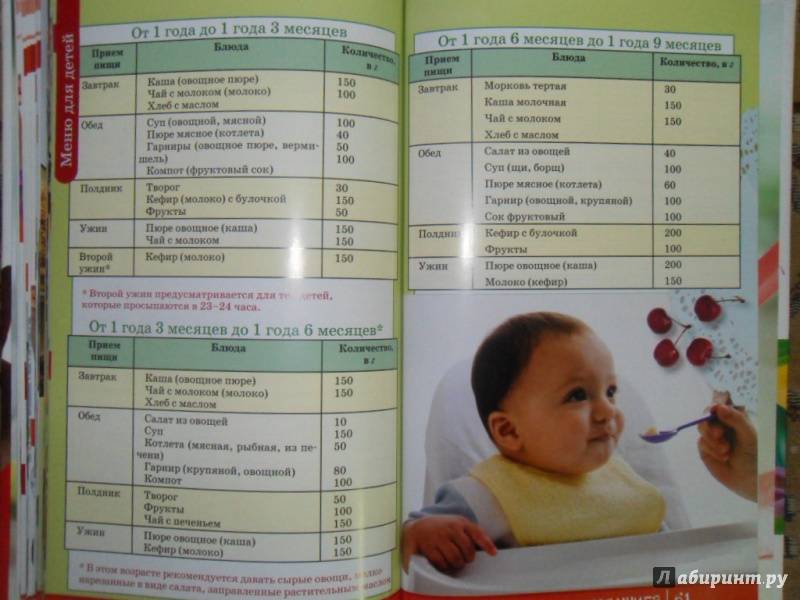 Особенности питания ребенка от 1 до 3 лет
