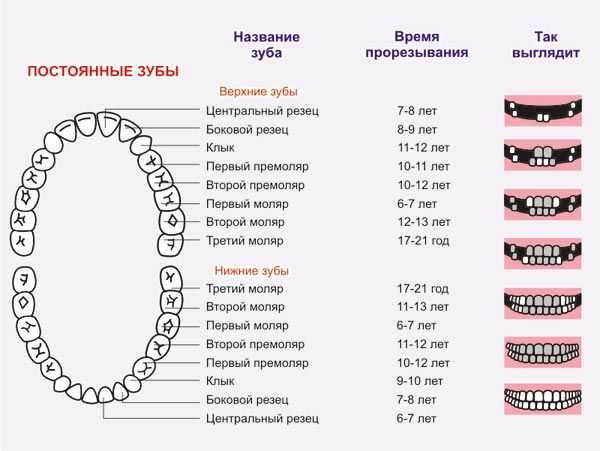 Герметизация зубов у детей - процедура герметизации и последствия