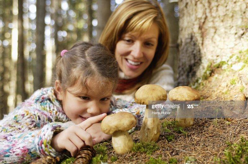 С какого возраста ребенку можно грибной суп ? грибной суп детям ? здоровье ребенка