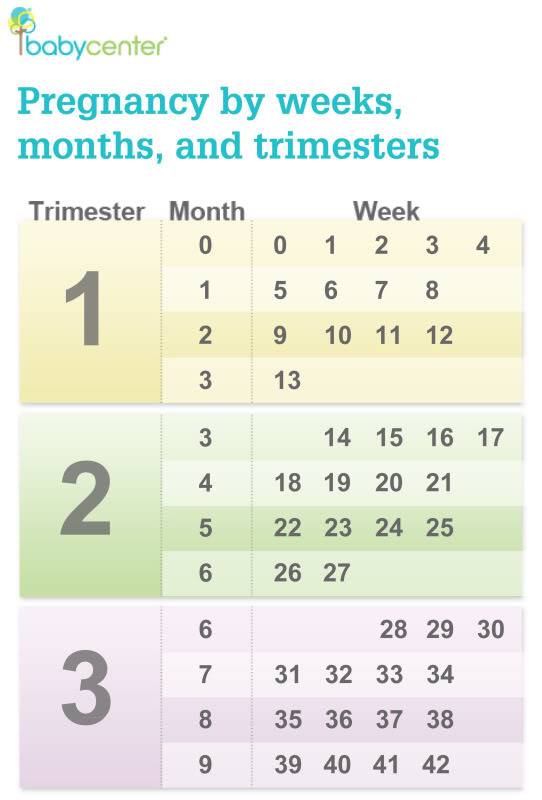 Калькулятор беременности по неделям: рассчитать срок беременности и дату родов по дню последней менструации :: polismed.com