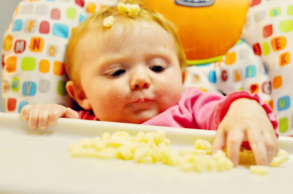 Введение сыра в прикорм ребенка: когда можно дать грудничку, со скольки месяцев