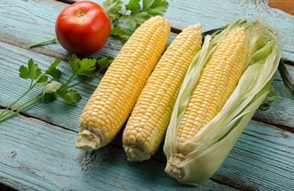 Вареная кукуруза для беременных: польза и вред