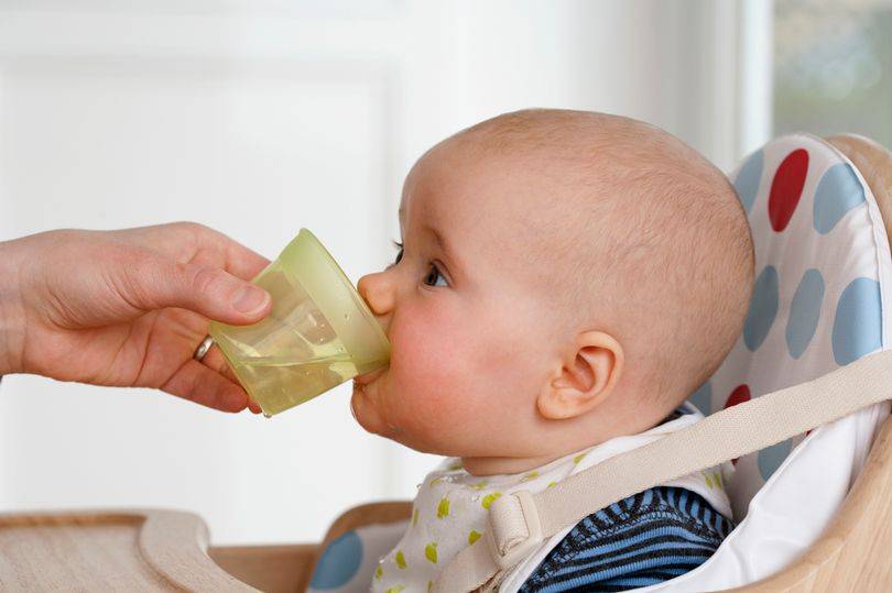 Как научить ребенка пить из чашки: в чем залог успеха?