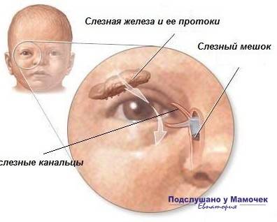 Зондирование и бужирование носослезного канала у детей и взрослых в москве