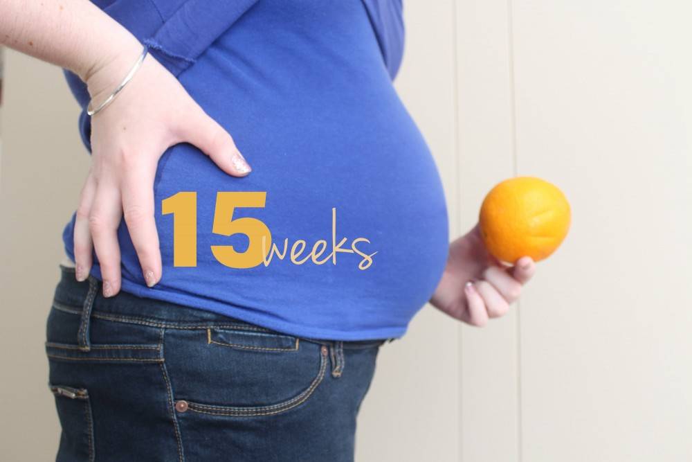 15 неделя беременности – что происходит, узи и развитие плода, вес ребенка и живот на пятнадцатой неделе беременности – agulife.ru - agulife.ru
