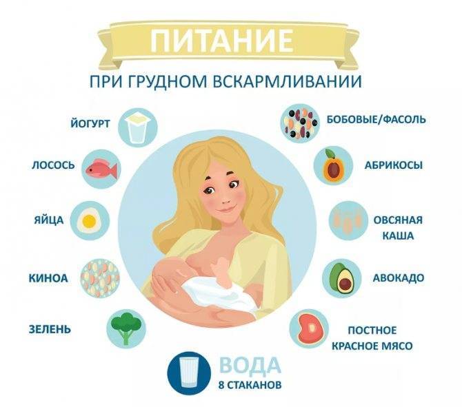 Правила питания кормящей мамы - современный и традиционный подход