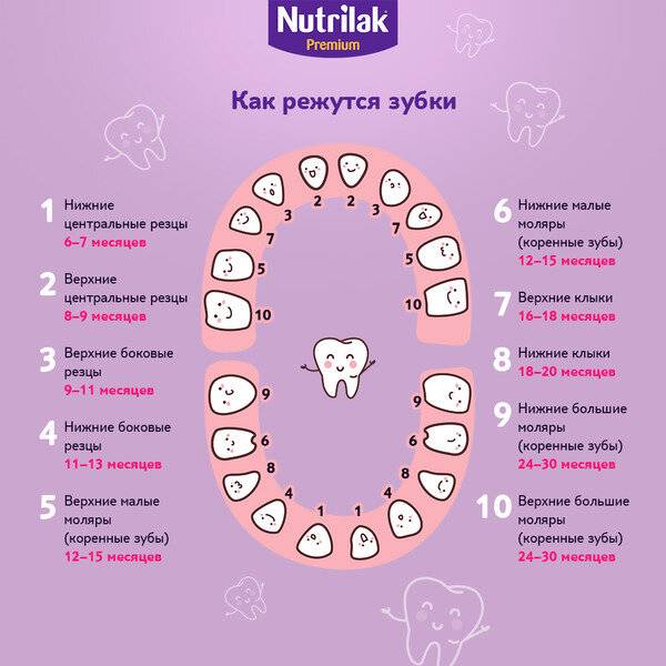 Как появляются первые зубы у младенца: во сколько месяцев начинают расти, симптомы
