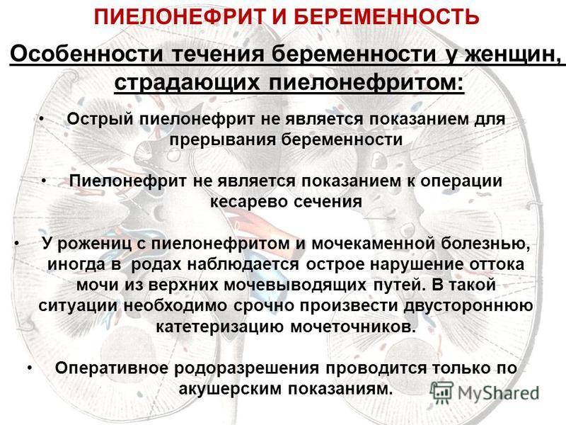 Пиелонефрит при беременности | особенности пиелонефрита почек у беременных