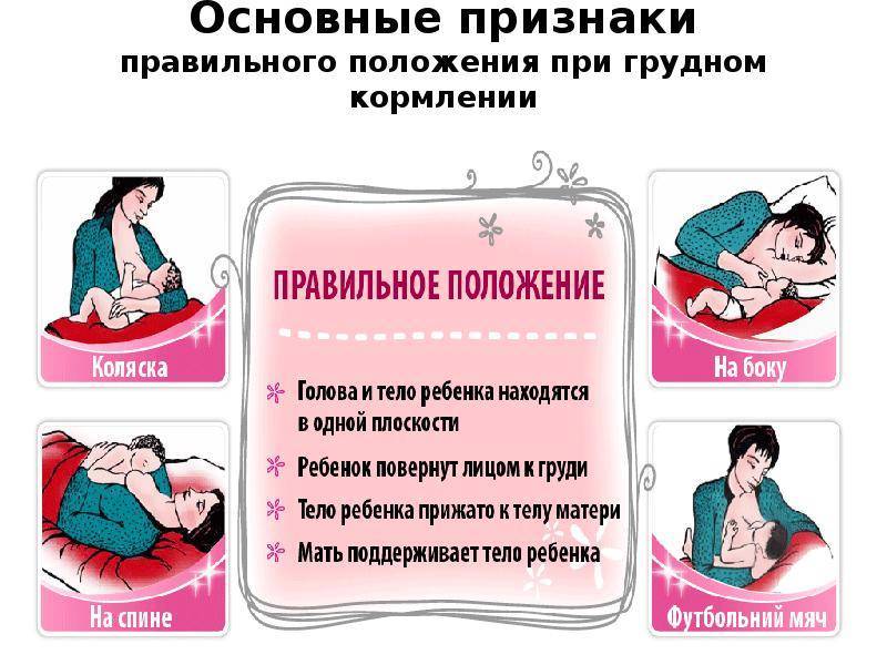 Правила массажа груди при лактостазе