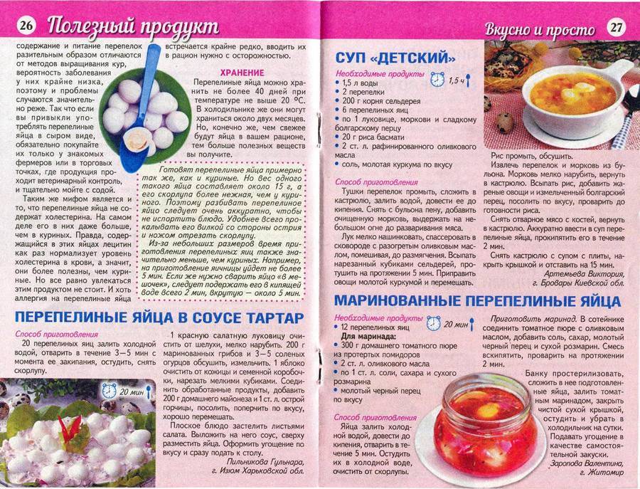Когда можно давать ребенку белокочанную капусту: основные правила – проовощи.ру