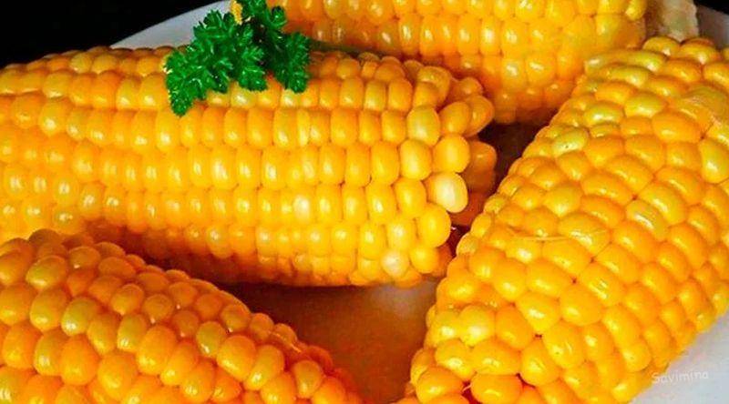 Вареная кукуруза: польза и вред - в блоге dietology.pro