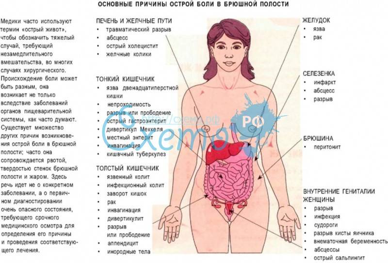 Болит внизу живота колит