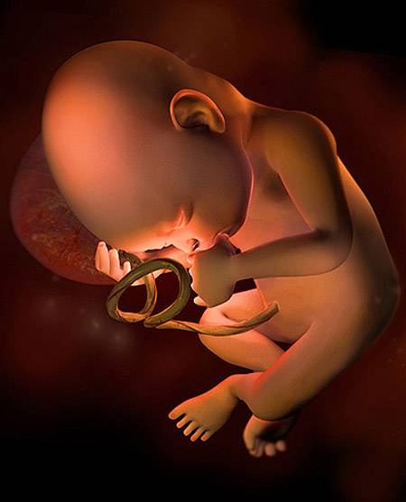 30 неделя беременности: что происходит с малышом и мамой, развитие плода