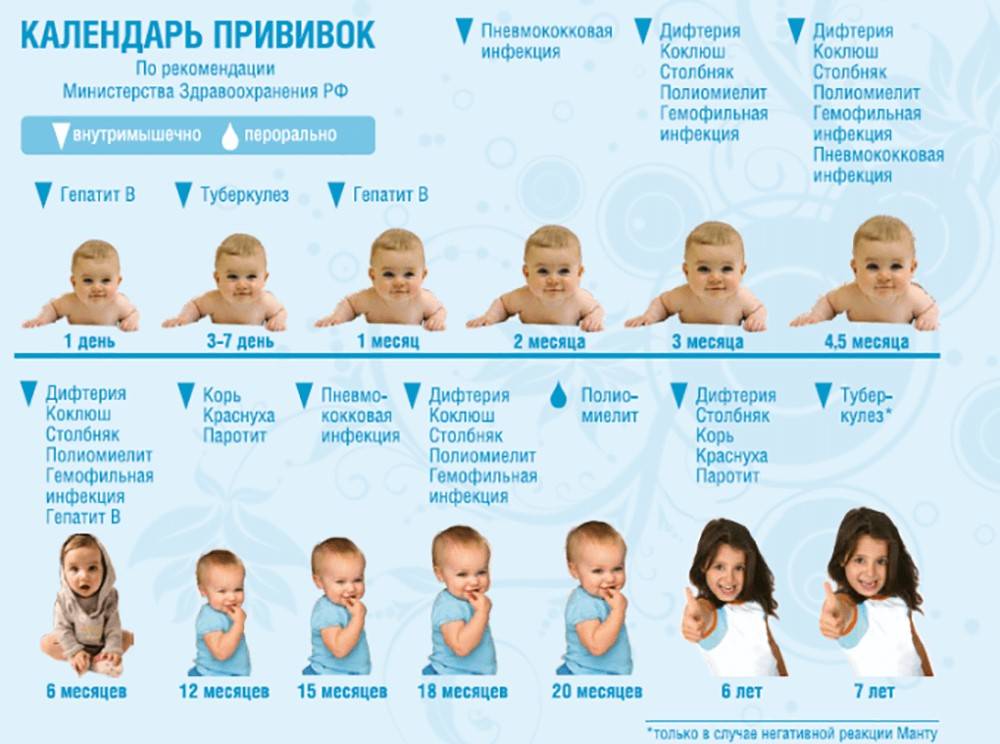 Календарь прививок для детей до года: противопоказания, график, список вакцин