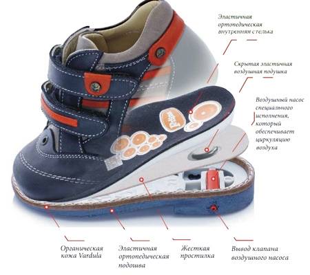 Как выбрать первую обувь для малыша. обувь для детей до года. обувь для ребенка 1 года. | энциклопедия обуви