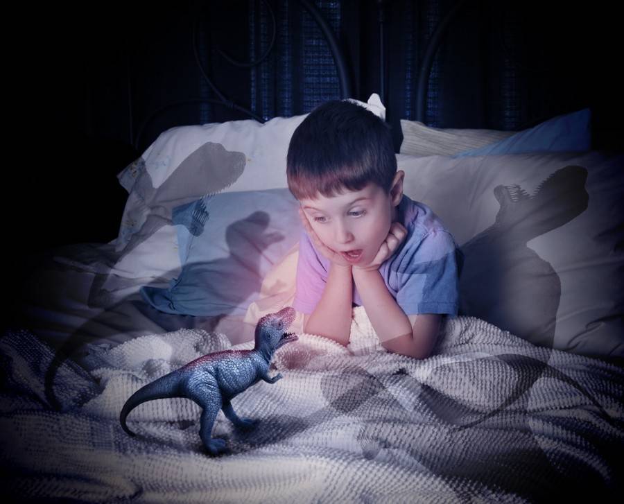 Ребенок боится спать