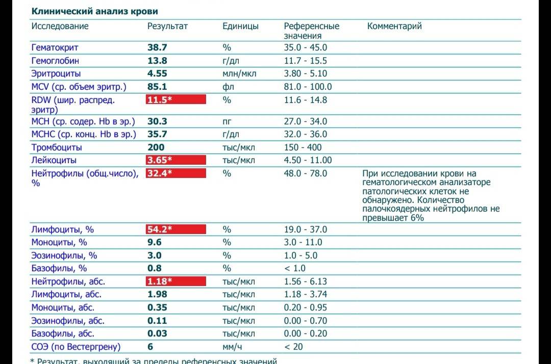 ✅ повышенные лимфоциты в крови у ребенка: 7 причин повышения, подготовка к анализу, расшифровка результатов - ik-rt.ru