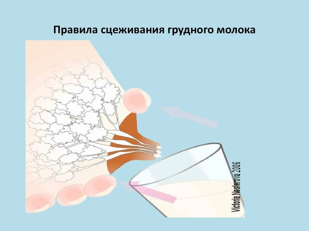 Как сцеживать грудное молоко руками, сцеживание в бутылочку вручную (техника)