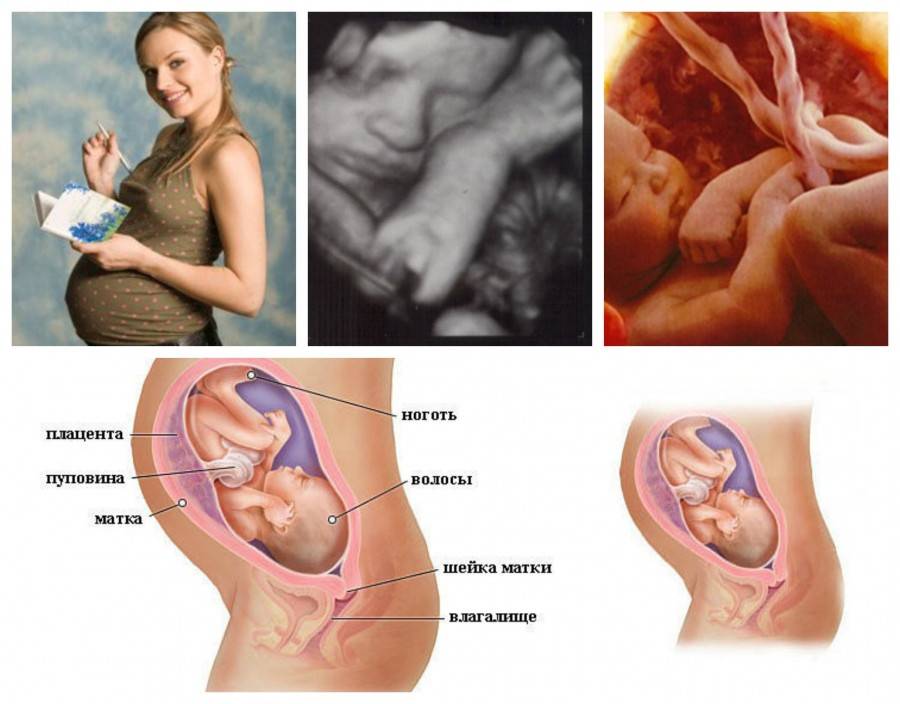 Тридцать третья неделя беременности: признаки, выделения, ощущения