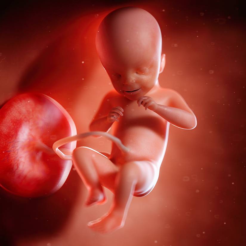 21 неделя беременности (60 фото): что происходит с малышом и мамой, сколько это месяцев, 20-21 акушерская неделя, развитие и ощущения на 19 неделе от зачатия