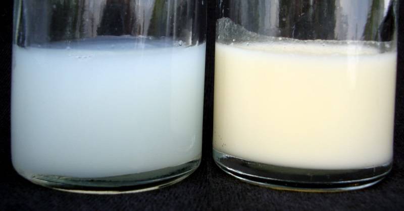 Как отличить молоко