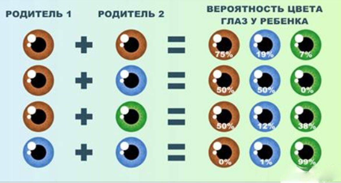 Каким будет цвет глаз у ребенка: таблица, как определить в домашних условиях