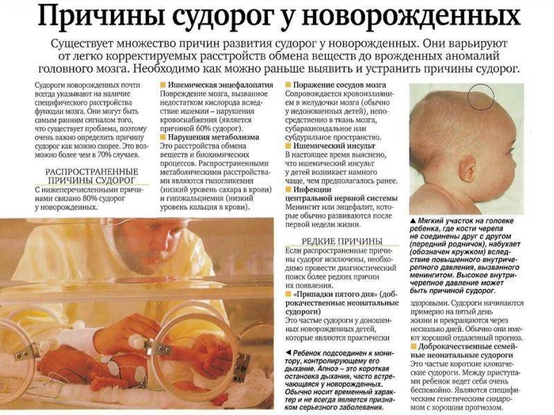 ᐉ до скольки месяцев нельзя показывать ребенка. когда можно показывать ребенка после рождения - psihologisl.ru
