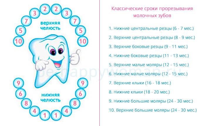 Порядок роста зубов у детей схема молочных