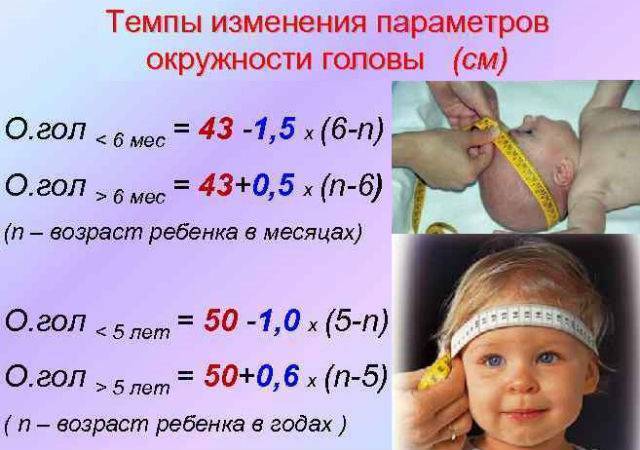 Размер головы новорожденного ребенка по месяцам: нормы или патология