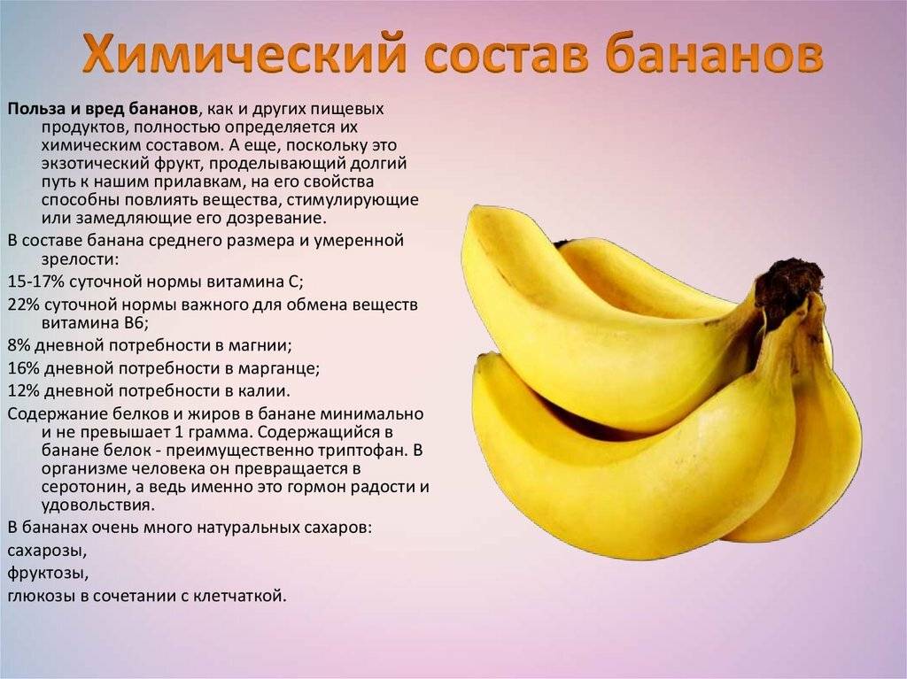 Можно ли бананы при лактации?