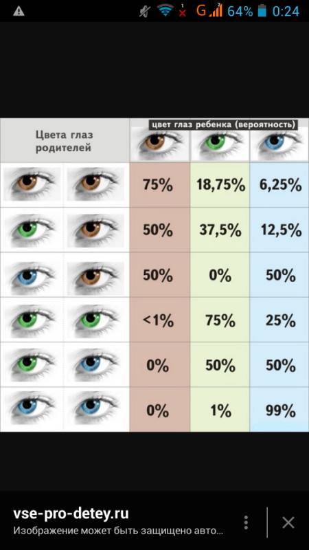 Глаза у родителей и какие будут у ребенка или как передается цвет глаз малышу от родителей, схема определения цвета, генетическая возможность stomatvrn.ru
