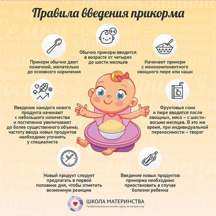Развитие ребенка в 1 год 8 месяцев