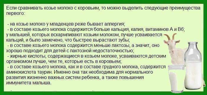 Как разводить коровье молоко для каши грудничкам