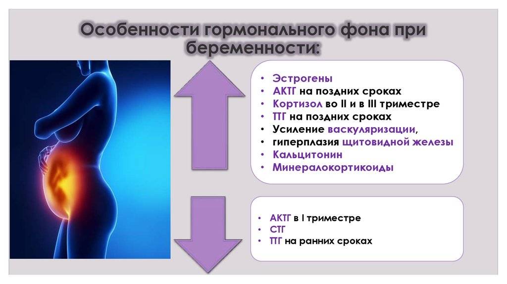 Анализ крови на гормоны, норма и расшифровка результатов показателей