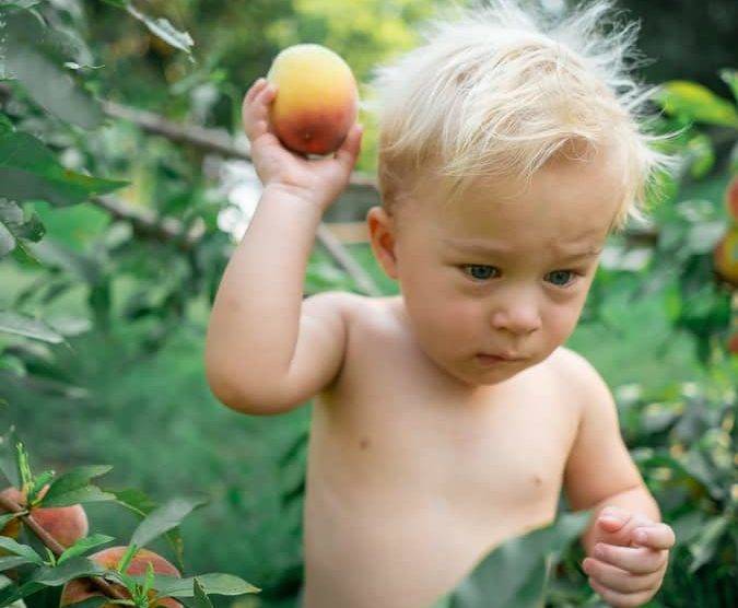 Можно ли детям абрикосы, с какого возраста. пюре и компот детям из абрикоса