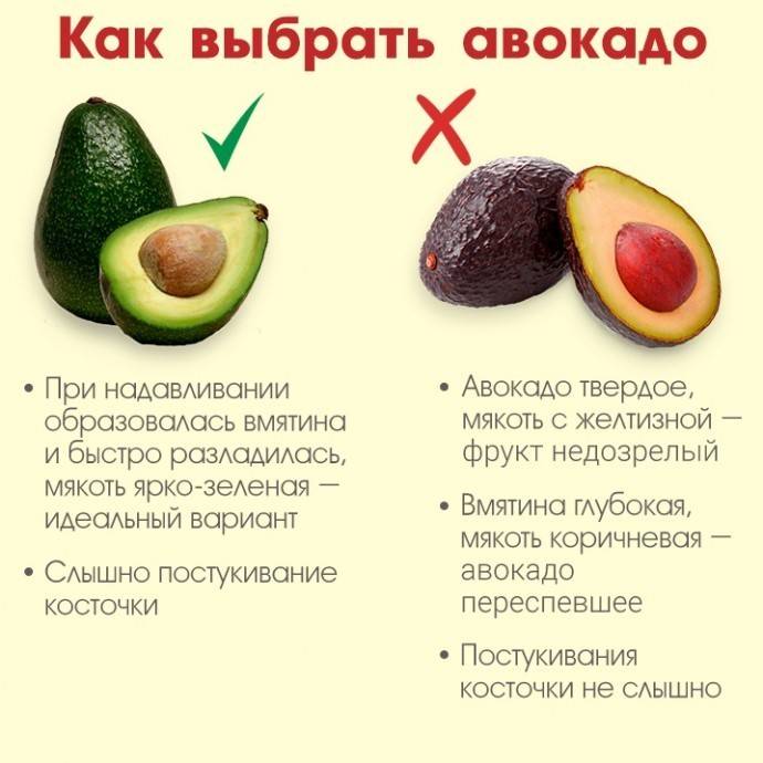 Авокадо при грудном вскармливании: польза фрукта и введение его в рацион мамы при гв